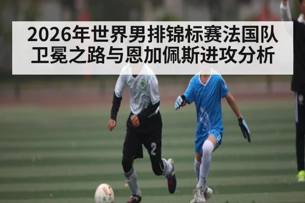 2026年世界男排锦标赛法国队卫冕之路与恩加佩斯进攻分析